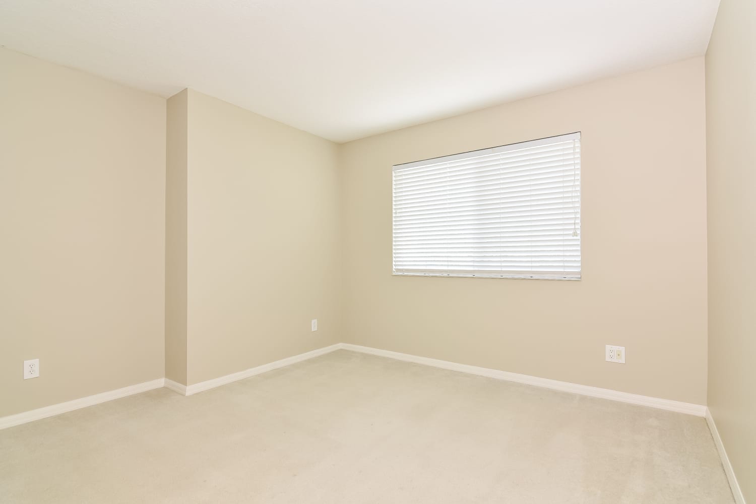 3604 Beneraid St, Land O Lakes photo 13