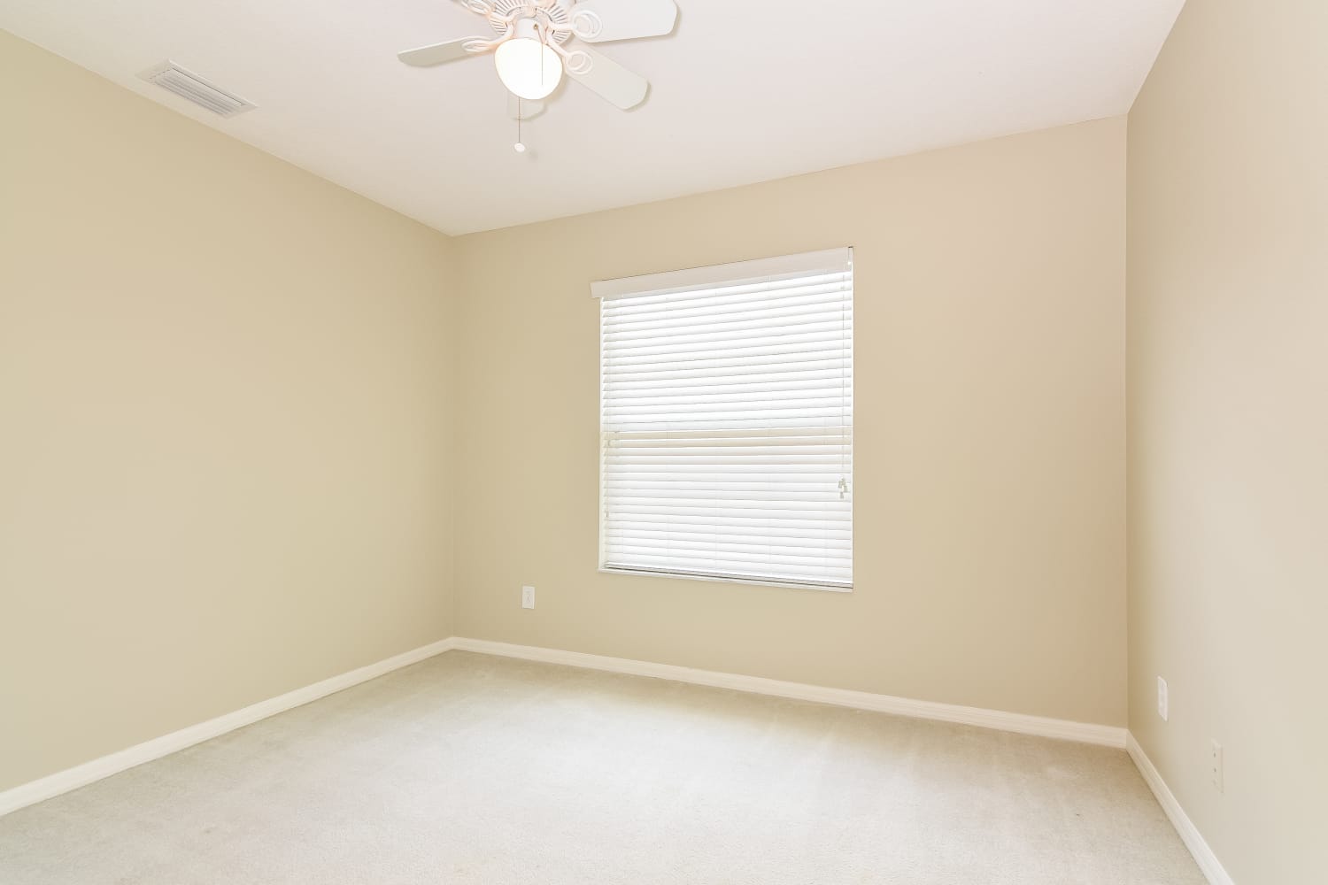 3604 Beneraid St, Land O Lakes photo 14