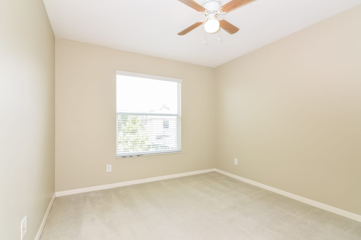3604 Beneraid St, Land O Lakes photo 15