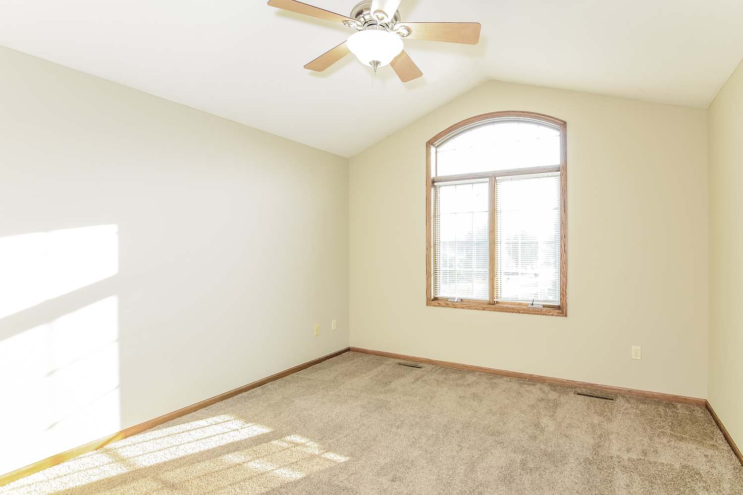 3639 103rd Trl N, Brooklyn Park photo 14