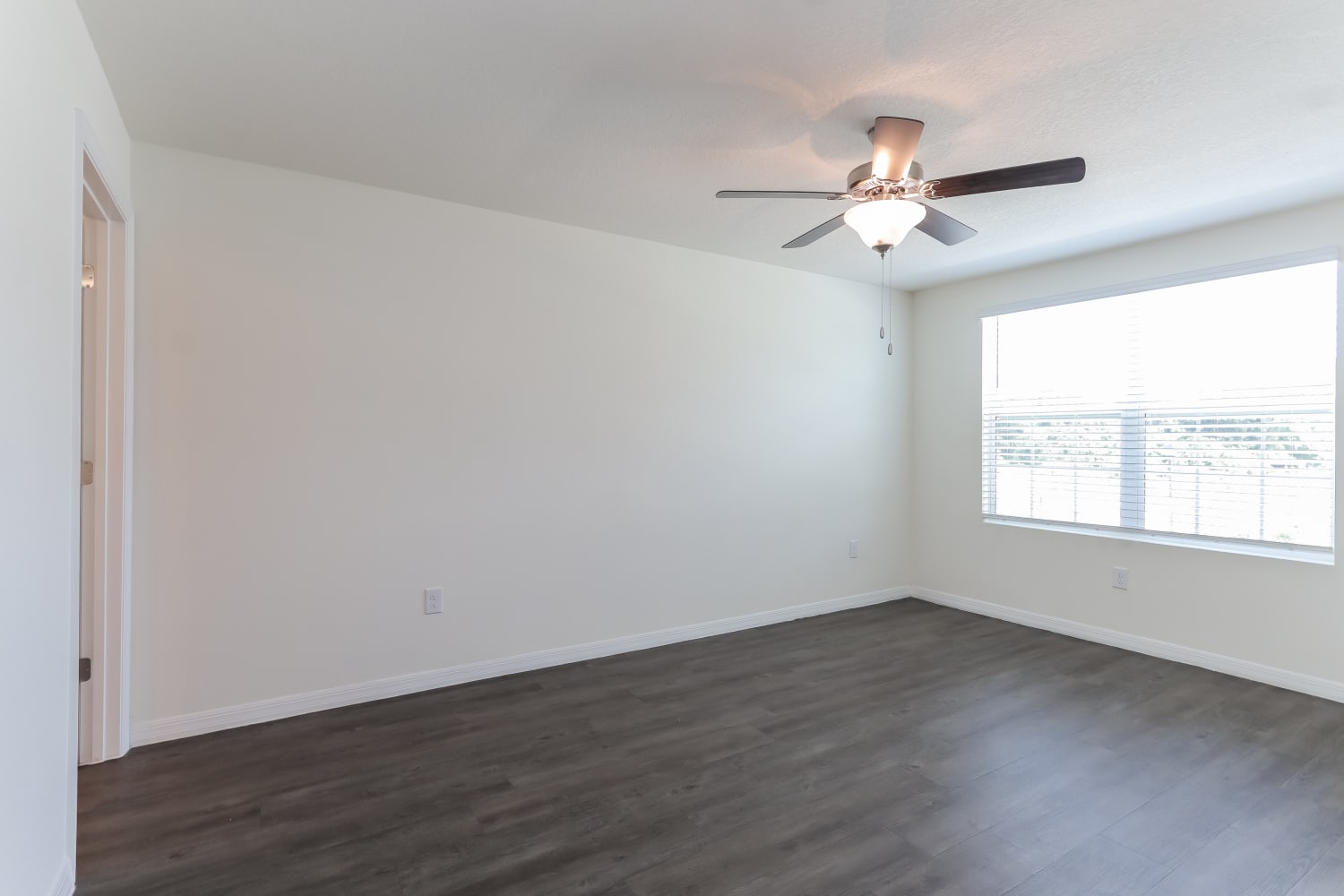 3659 Brownsville Pl, Tampa photo 10