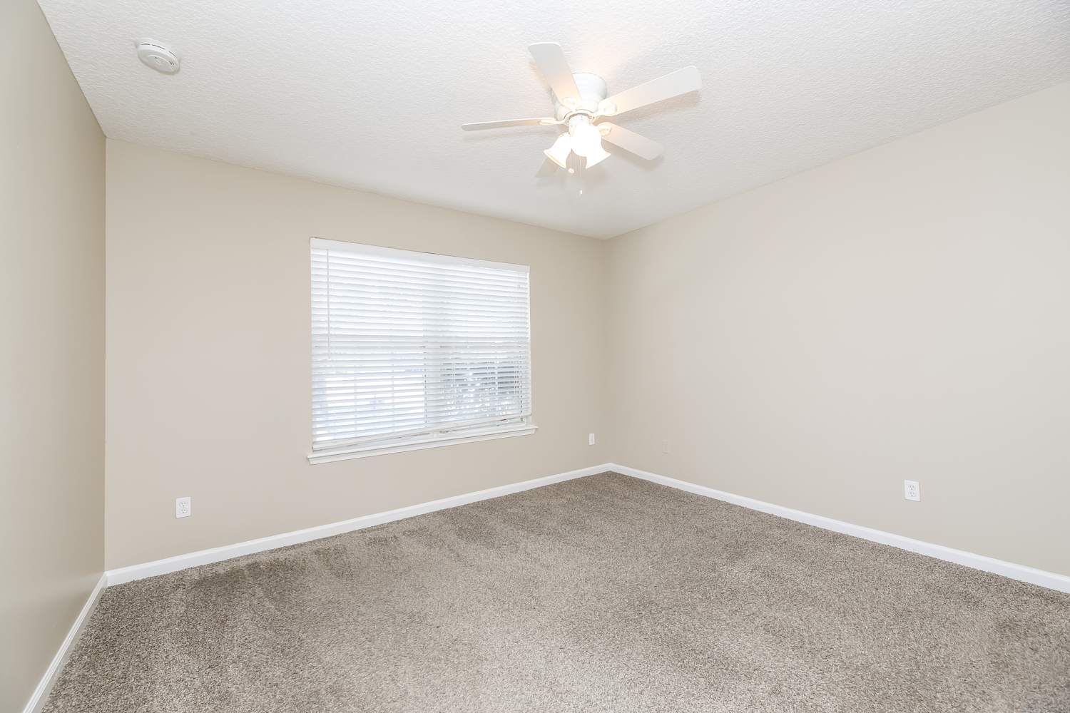 3675 Blue Wing Ct, Orange Park photo 12