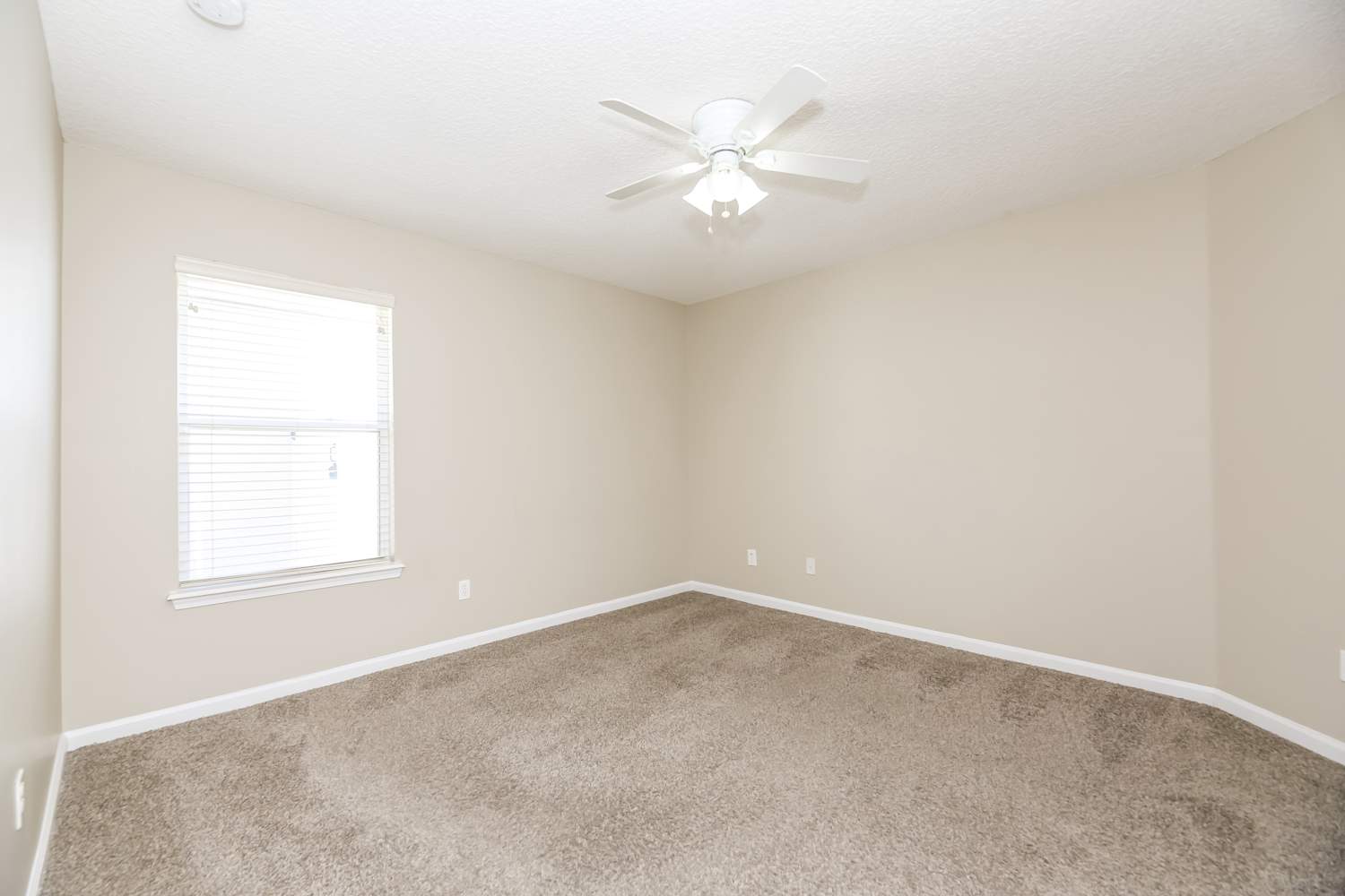 3675 Blue Wing Ct, Orange Park photo 13