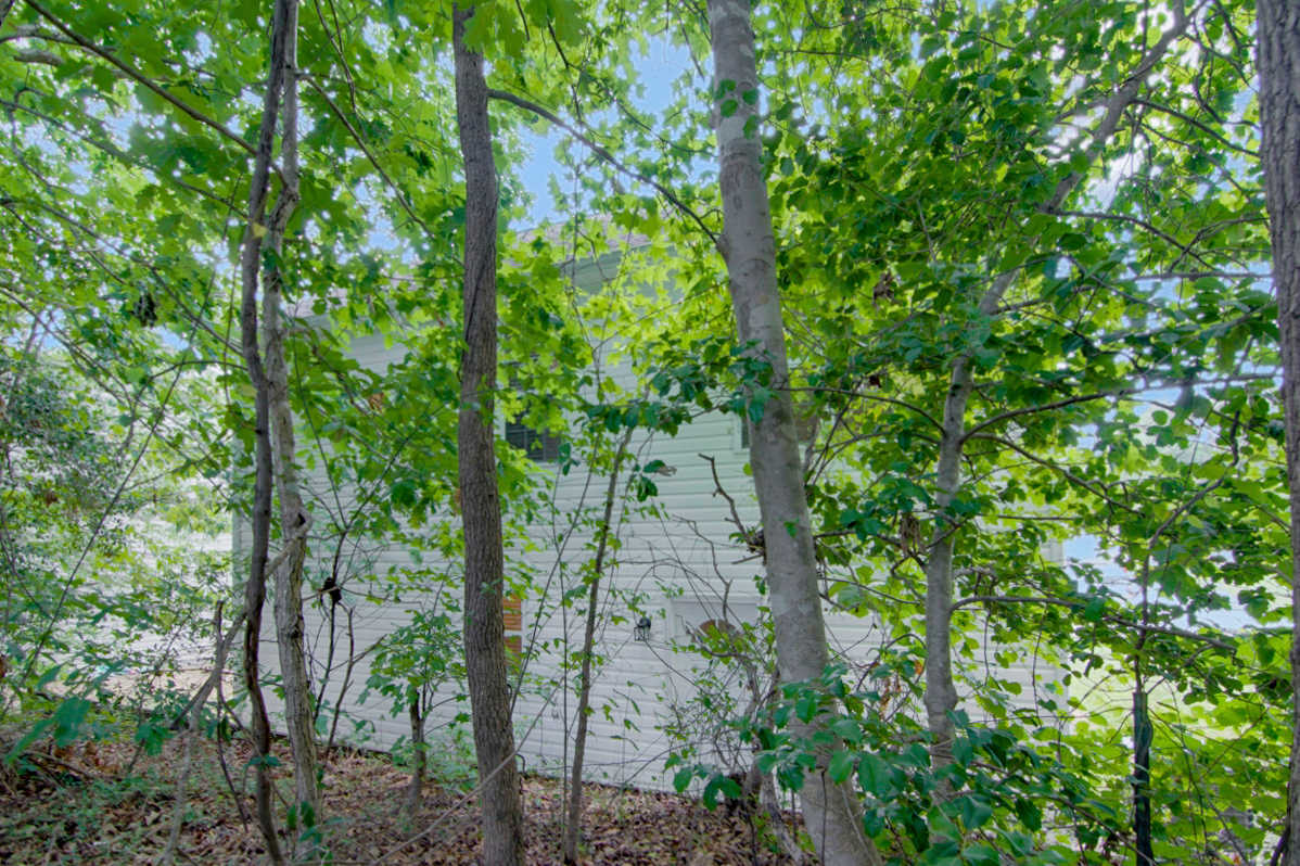 3706 Wyndcliff Ct, Raleigh photo 23