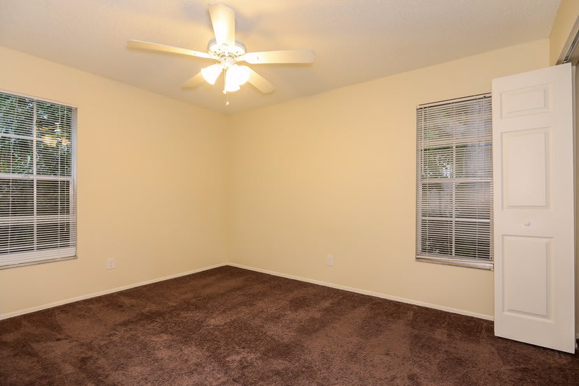 3764 Carmichael Ct, Palm Harbor photo 14