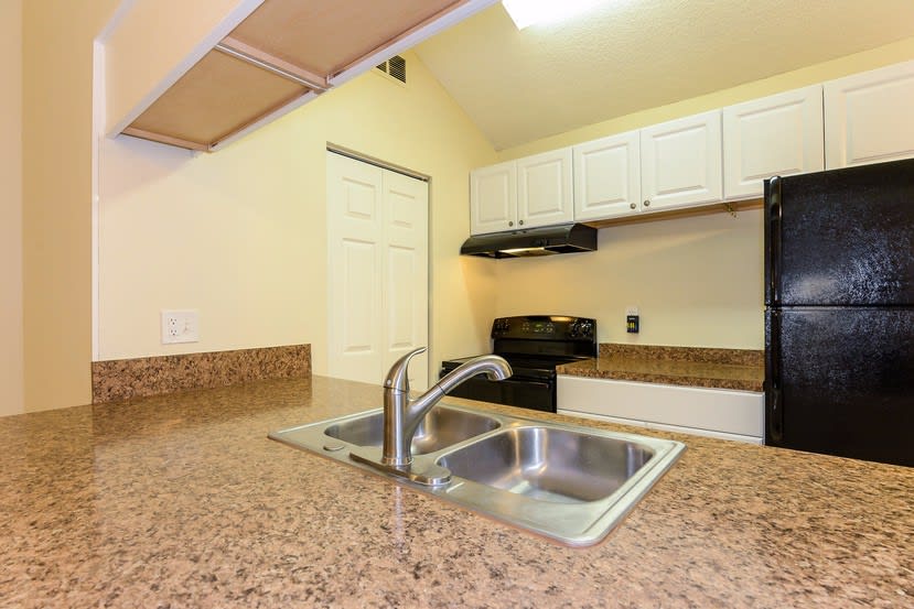 3764 Carmichael Ct, Palm Harbor photo 12