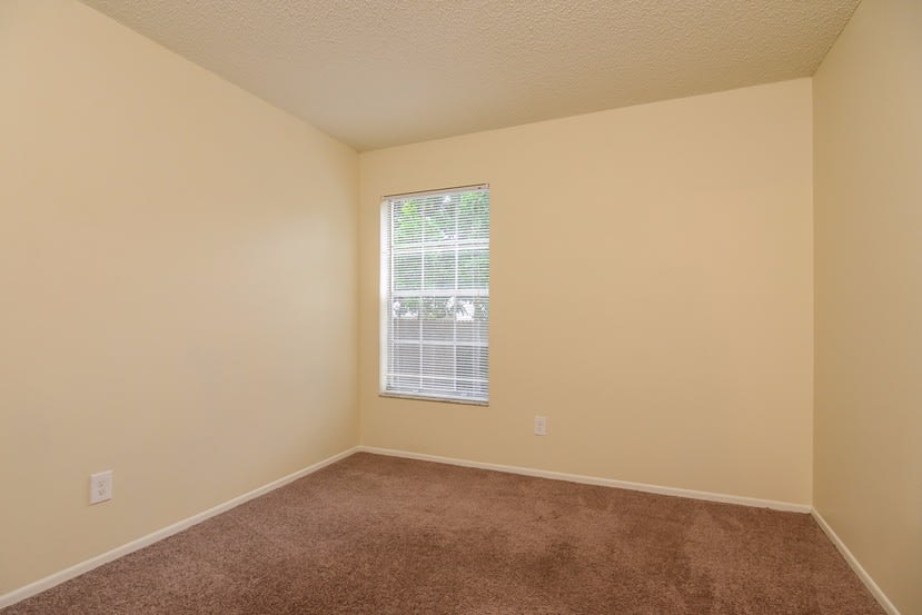 3764 Carmichael Ct, Palm Harbor photo 15