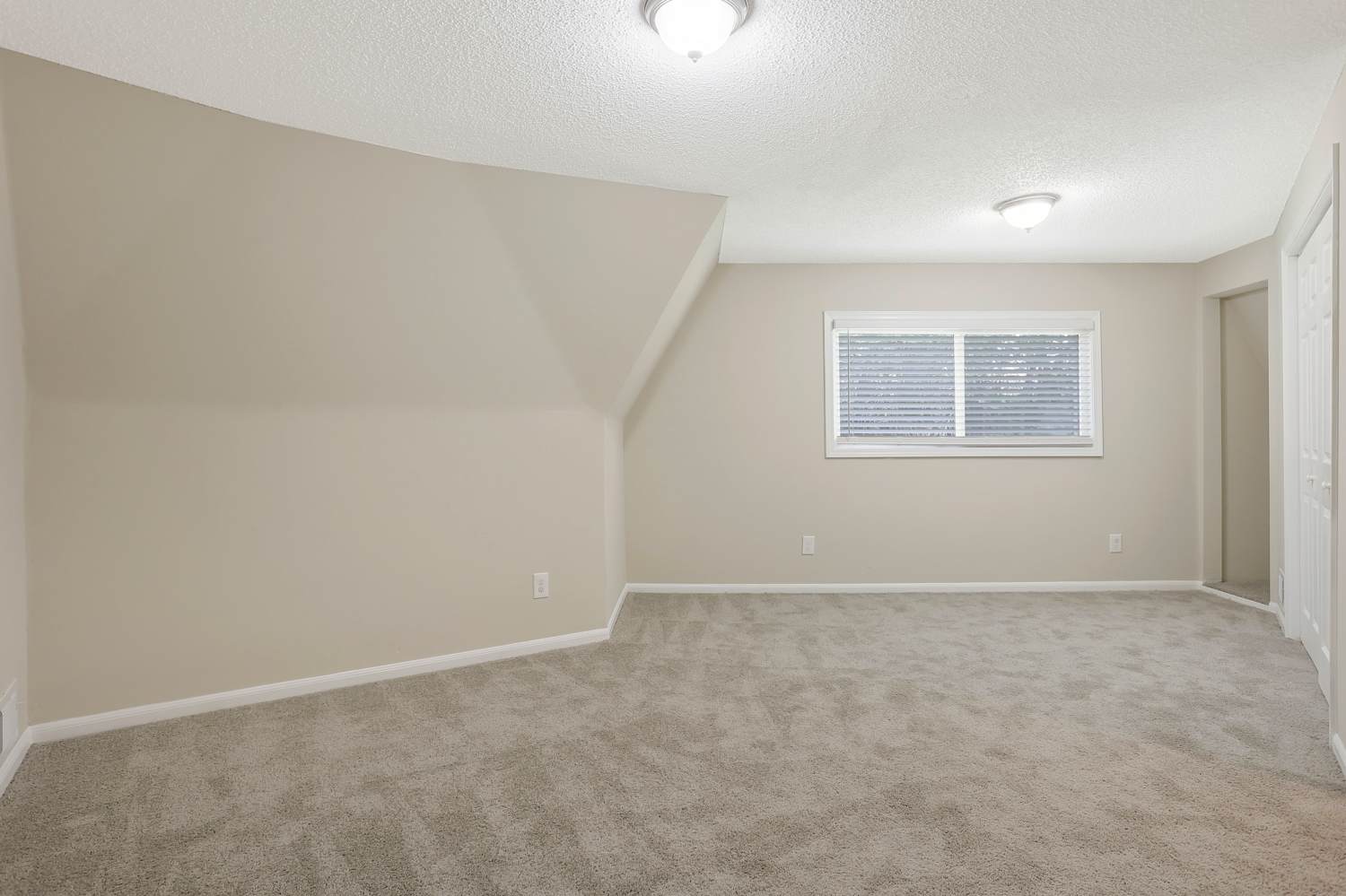 377 Windsor Farms Dr, Lawrenceville photo 21