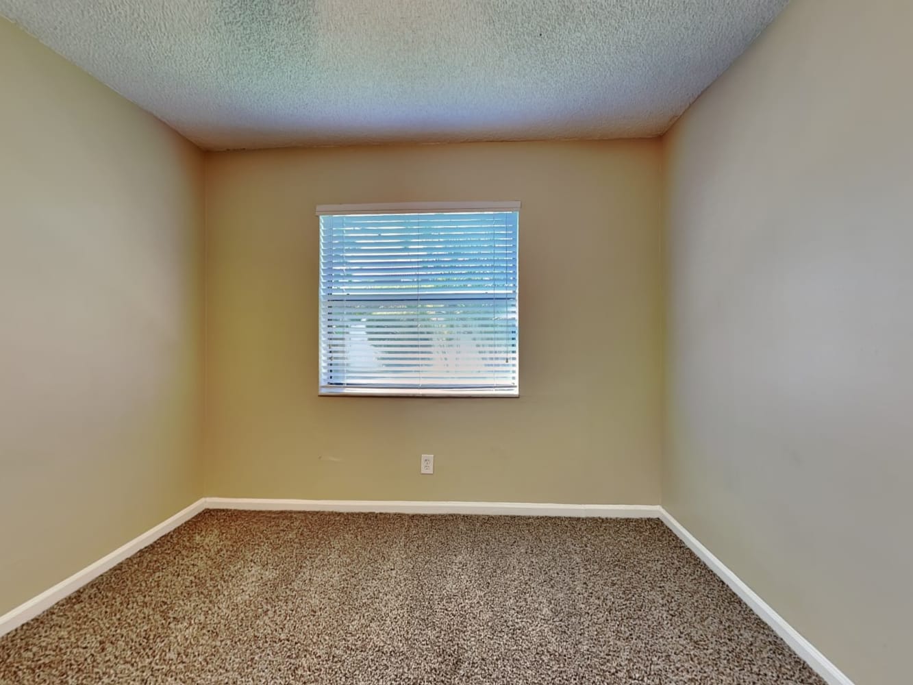 378 N Country Club Blvd, Boca Raton photo 13