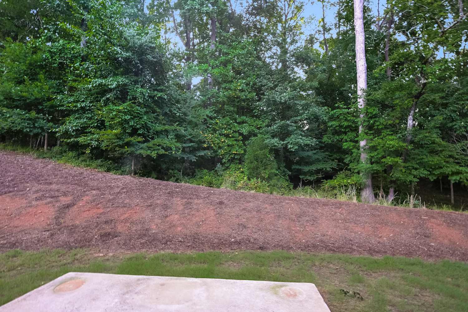 378 White Trillium Dr, Hoschton photo 17