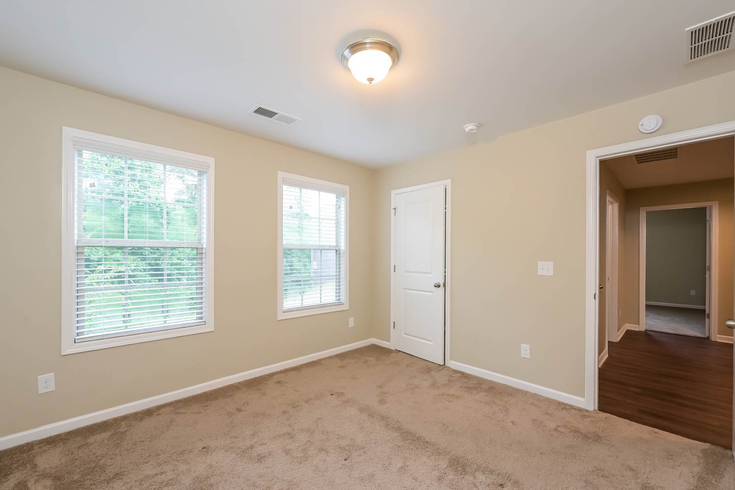 378 White Trillium Dr, Hoschton photo 13