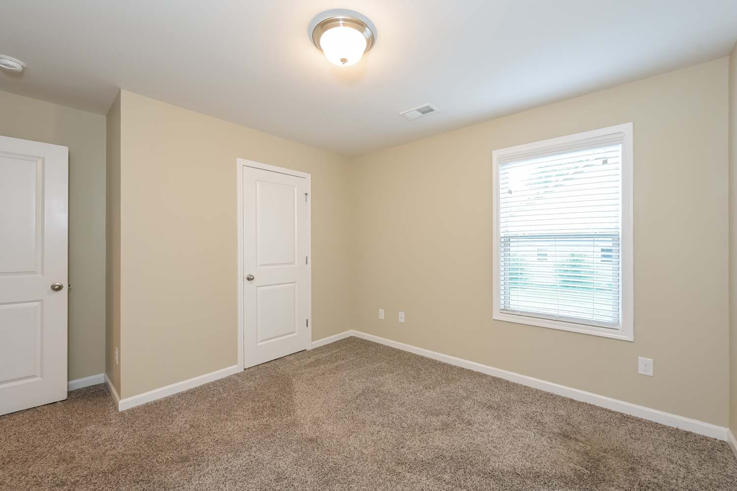 378 White Trillium Dr, Hoschton photo 14