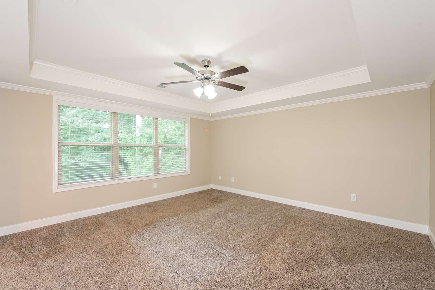 378 White Trillium Dr, Hoschton photo 10