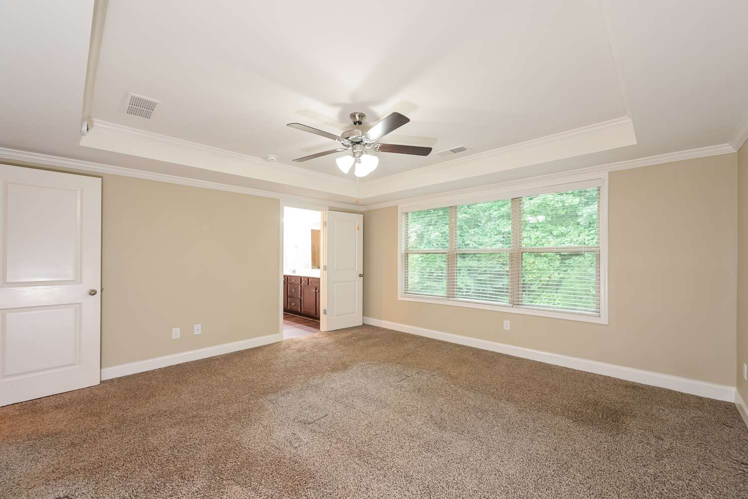 378 White Trillium Dr, Hoschton photo 9