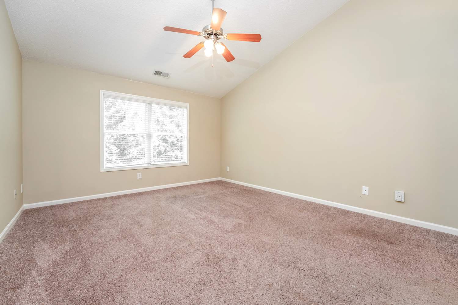 3820 Village Main St, Loganville photo 14