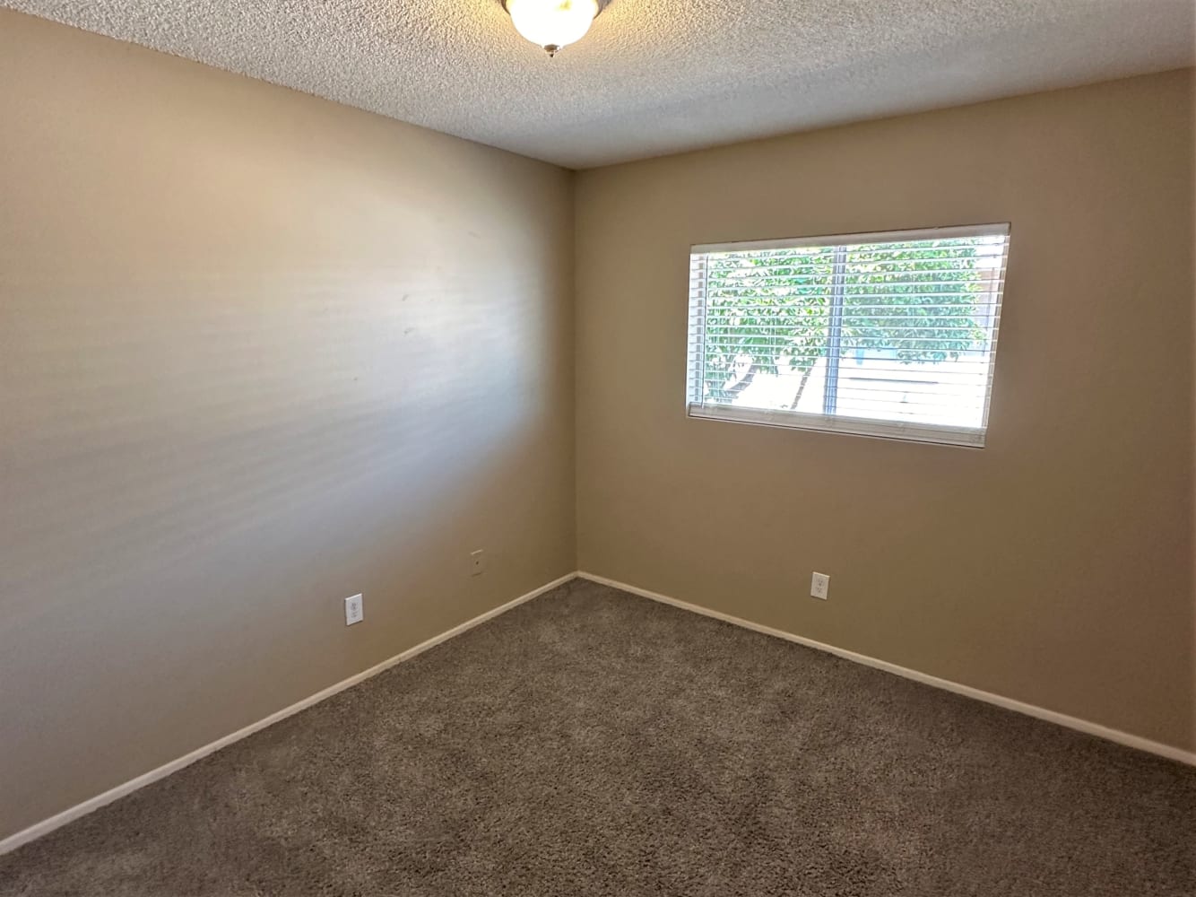 3828 W Lane Ave, Phoenix photo 10