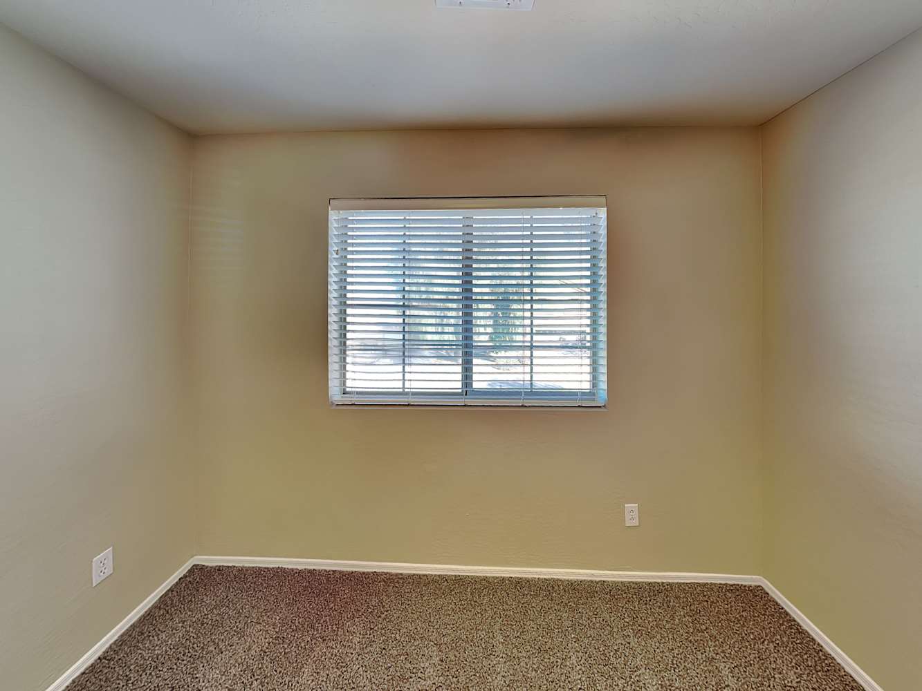 3831 W Naomi Ln, Queen Creek photo 14