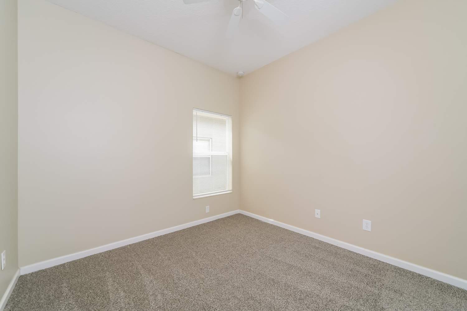 3835 Ryegrass St, Clermont photo 14