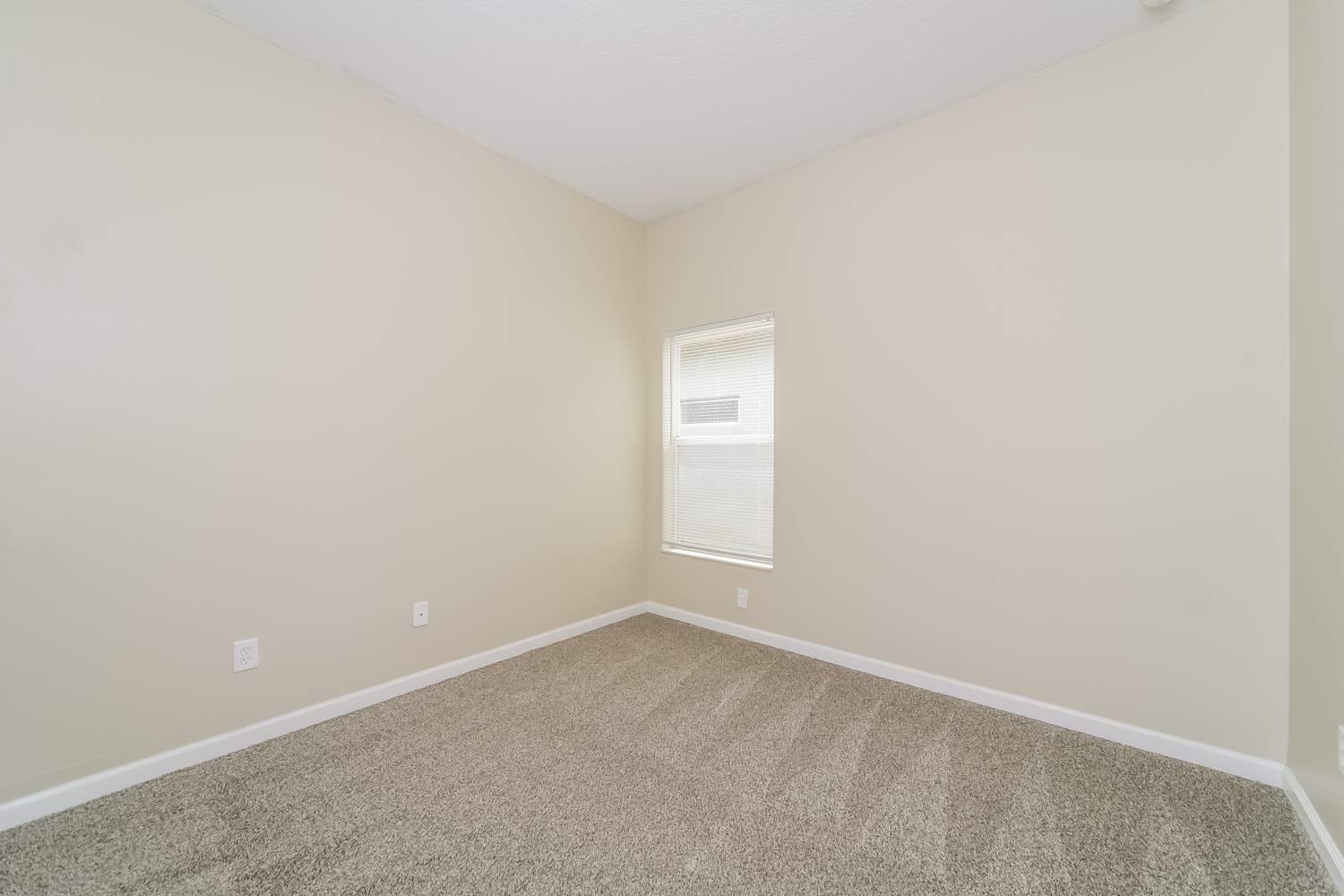 3835 Ryegrass St, Clermont photo 13