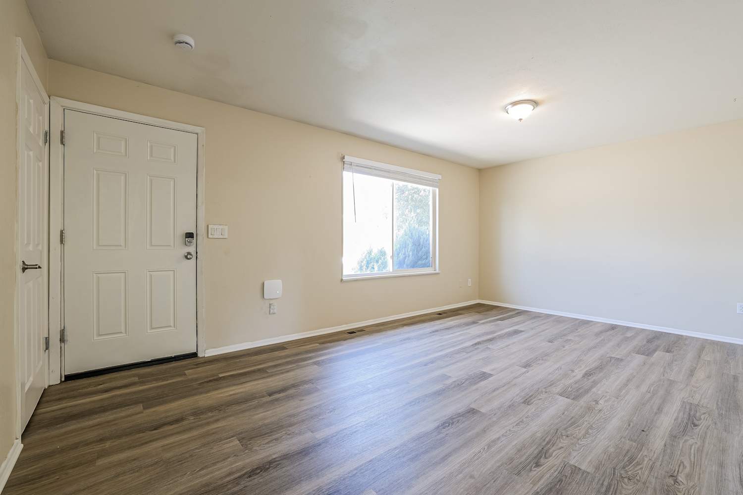 3891 Jackson Way, Thornton photo 5