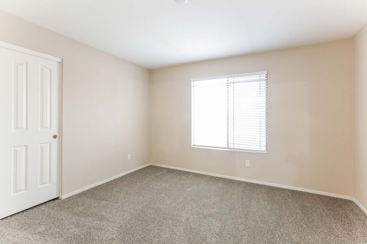 3905 Meadowlands St, Las Vegas photo 11