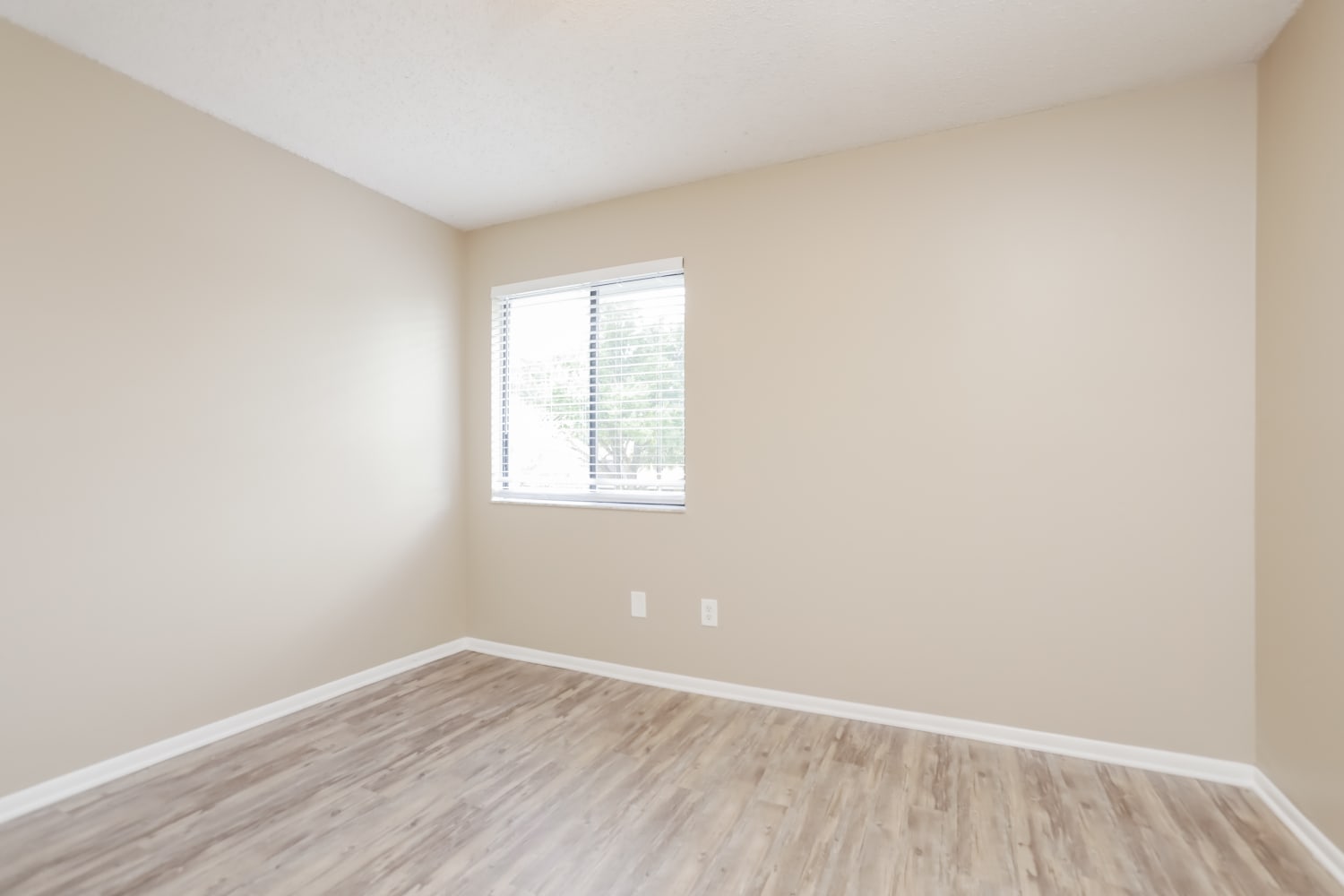 391 Cidermill Pl, Lake Mary photo 10