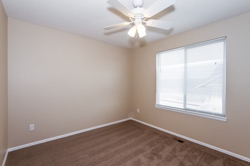 392 Balsa Dr, Castle Rock photo 14