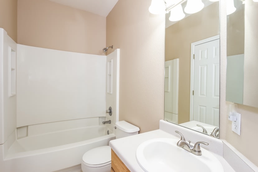 392 Balsa Dr, Castle Rock photo 21