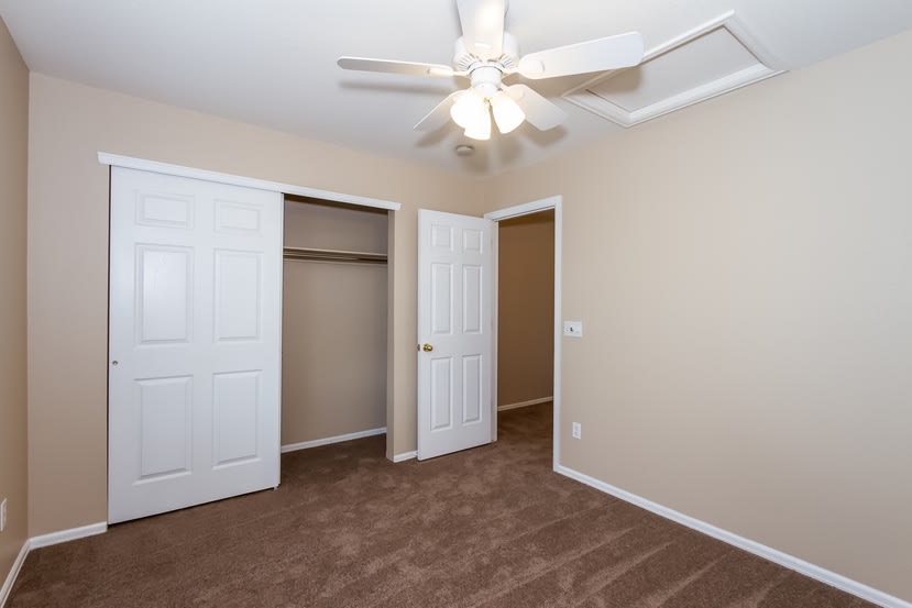 392 Balsa Dr, Castle Rock photo 18