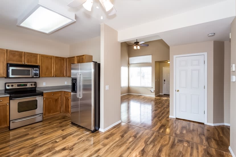 392 Balsa Dr, Castle Rock photo 8