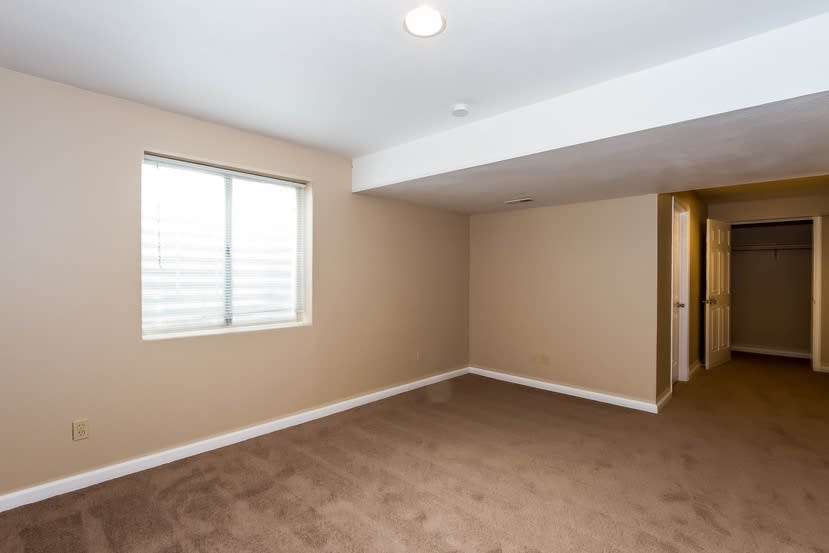 392 Balsa Dr, Castle Rock photo 17