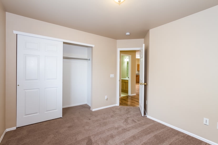 392 Balsa Dr, Castle Rock photo 19