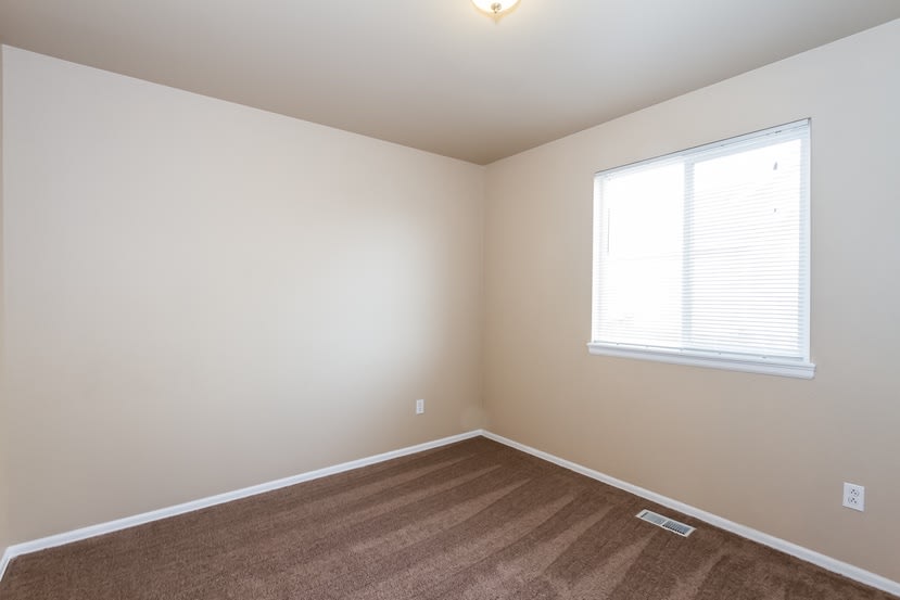 392 Balsa Dr, Castle Rock photo 13