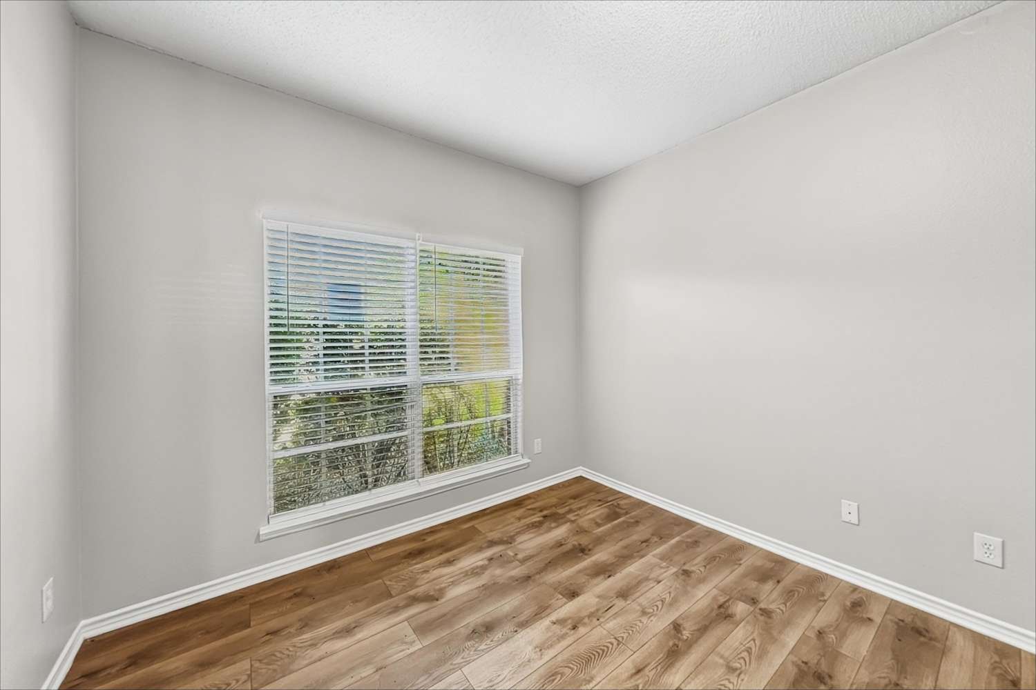 4103 English Ivy, Mckinney photo 19