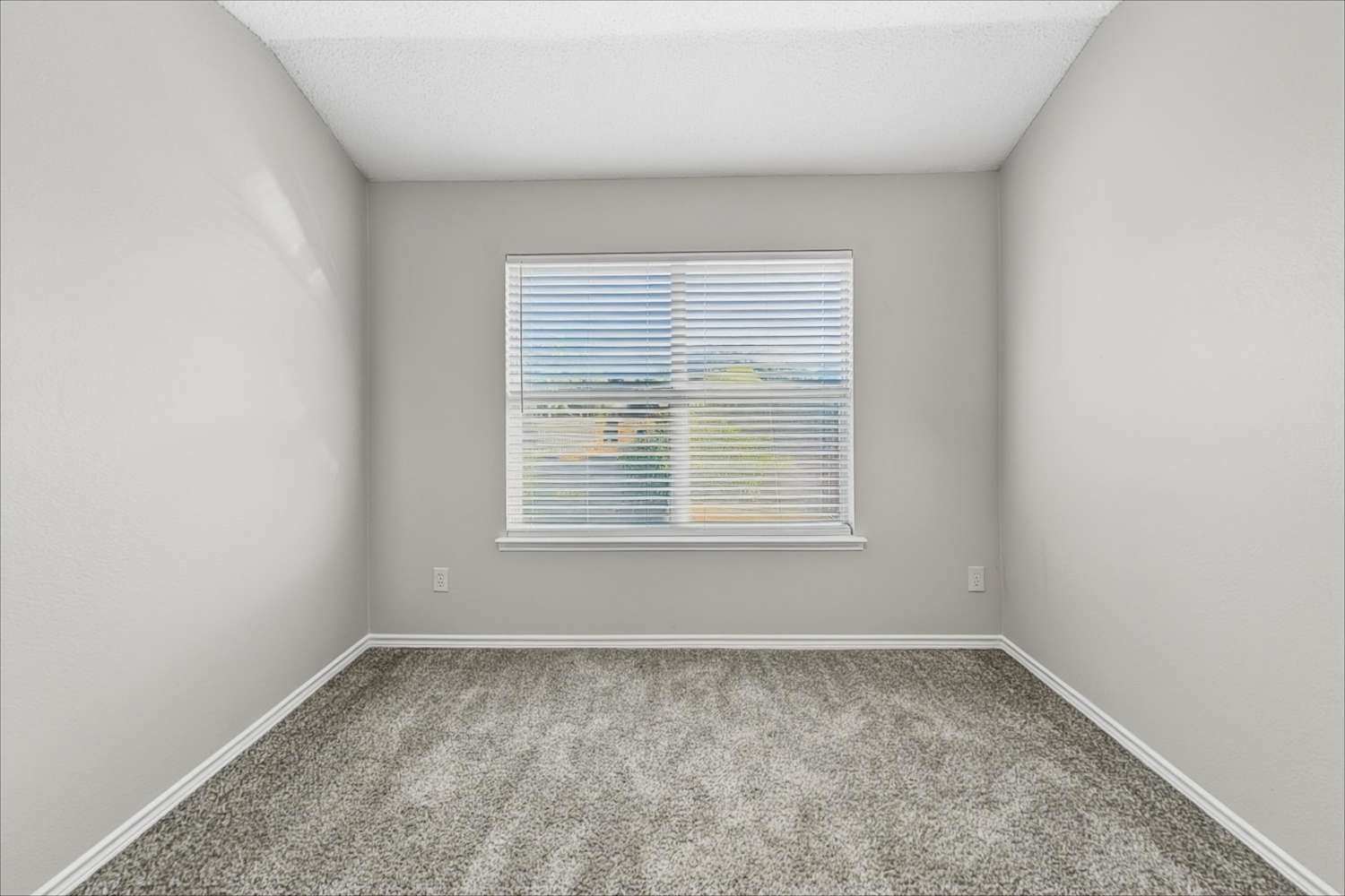 4103 English Ivy, Mckinney photo 16