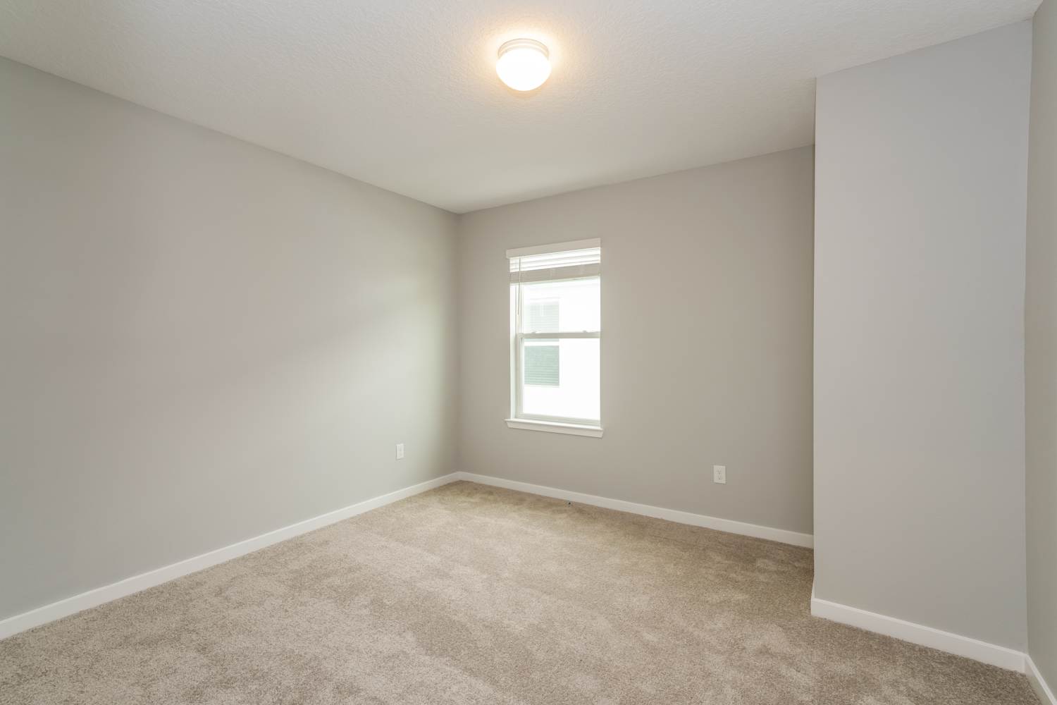 4124 Goldfoil Rd, Spring Hill photo 14