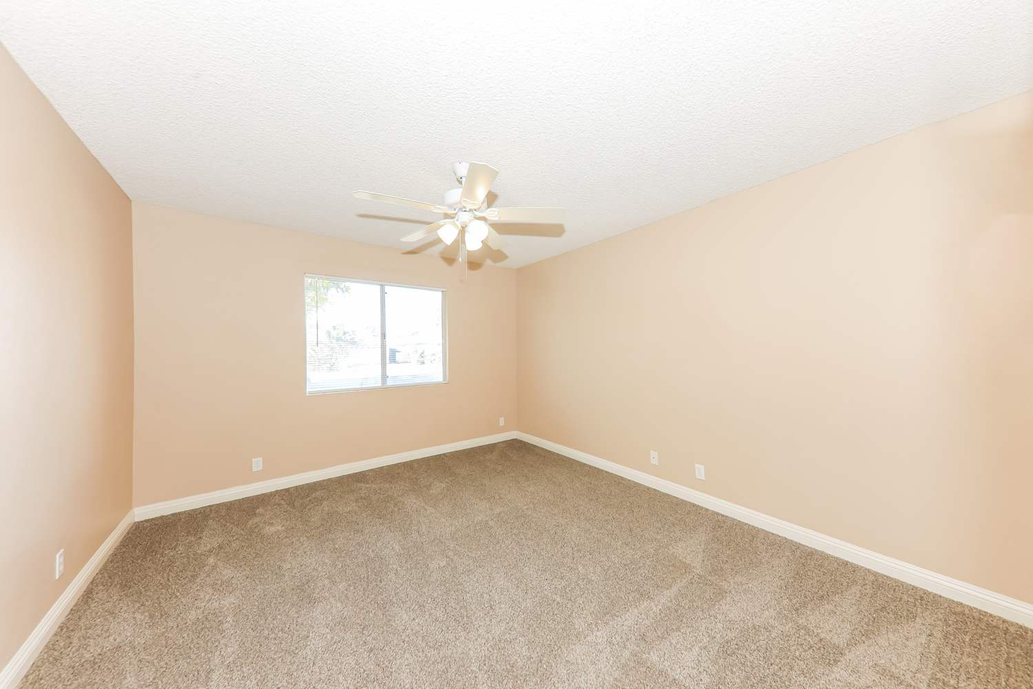 41797 Royal Palm Dr, Hemet photo 11