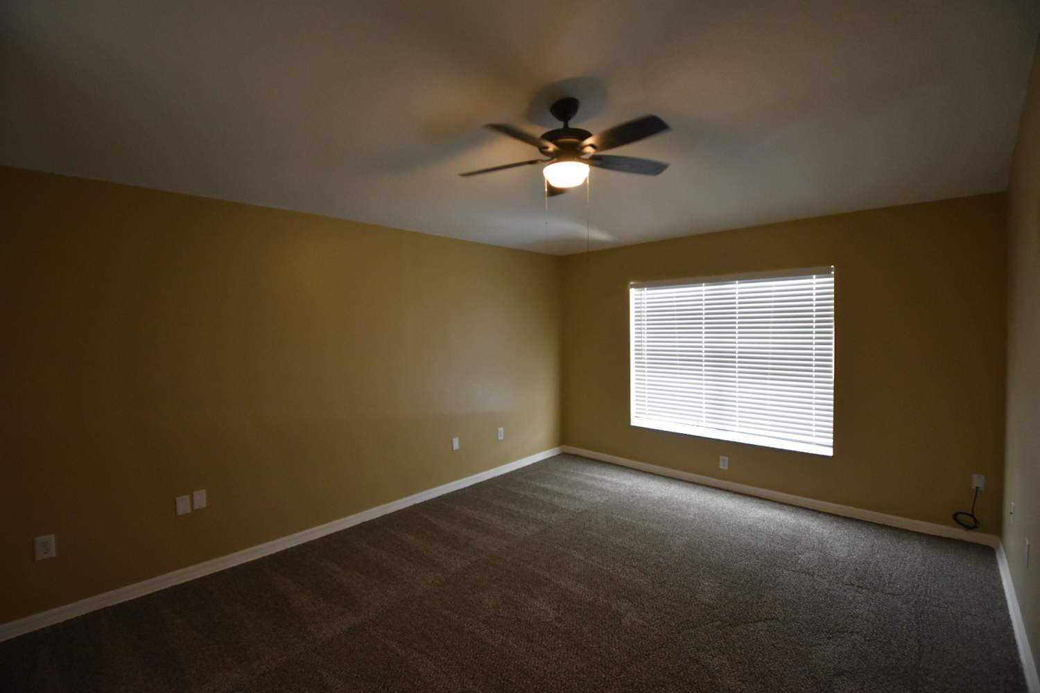4212 Wharton Way, Land O Lakes photo 11