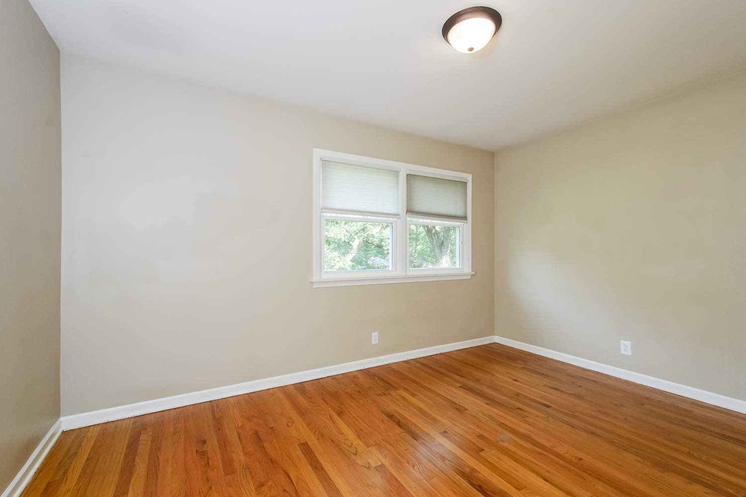 42W174 Timber Trl, Saint Charles photo 14