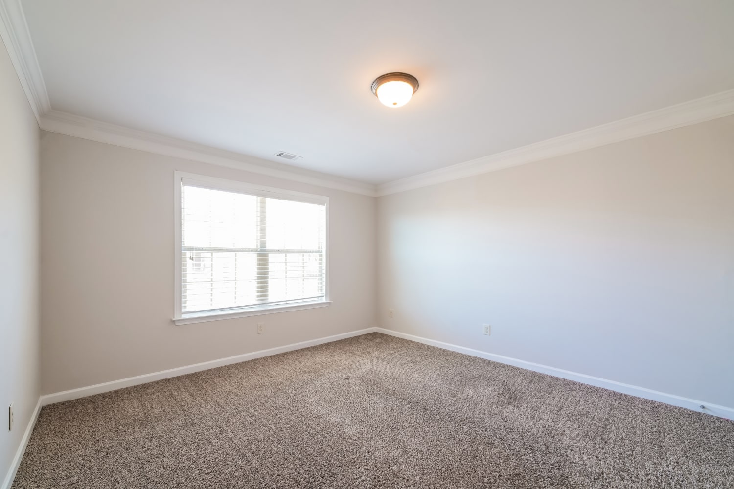 435 Crestmont Ln, Canton photo 10