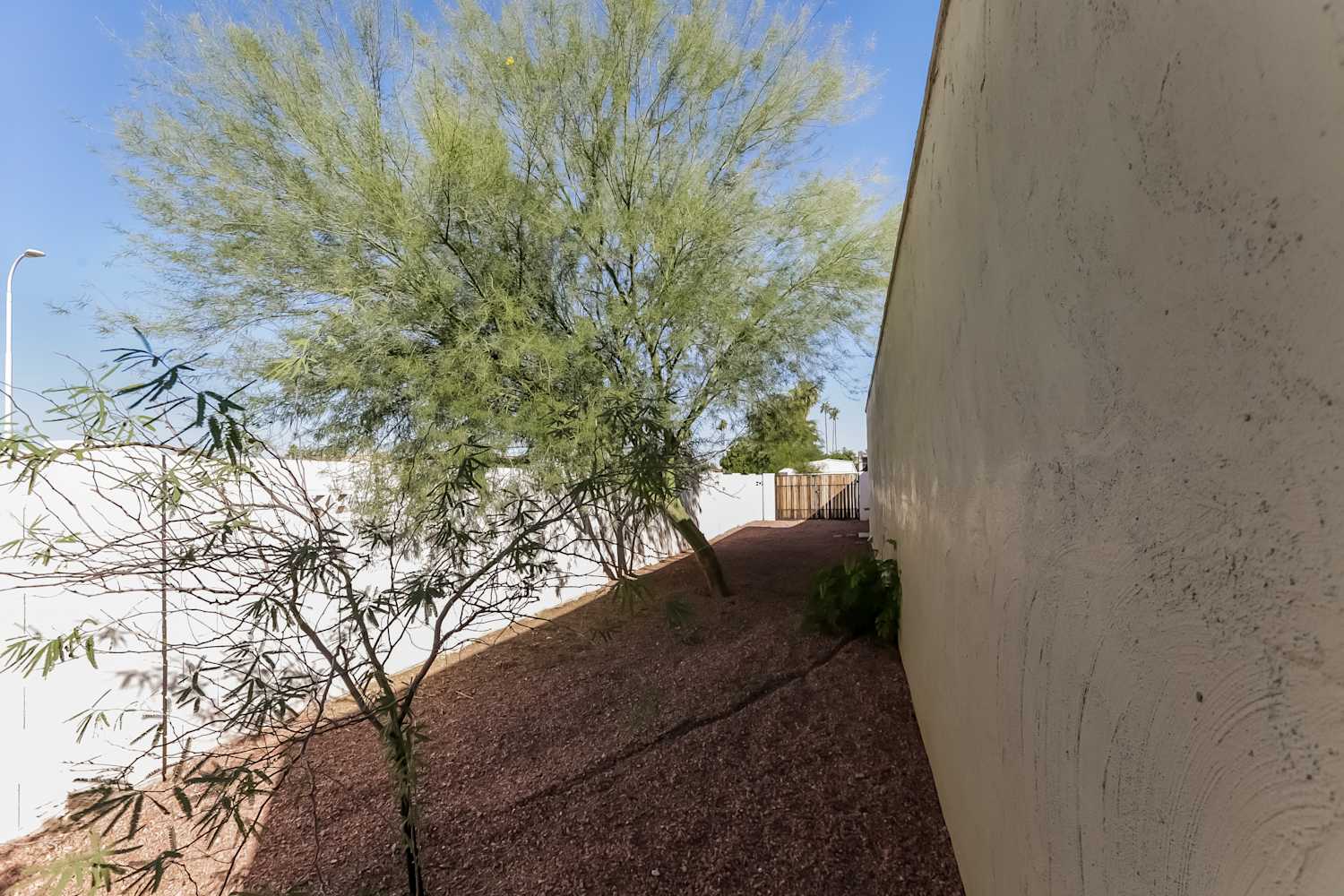 436 W La Jolla Drive, Tempe photo 14