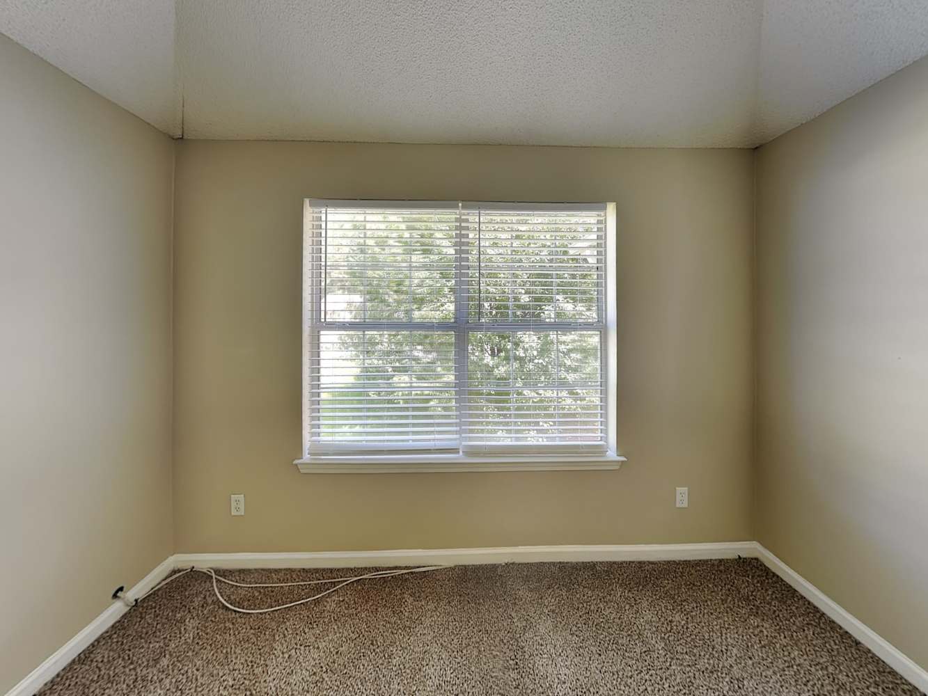438 Pecan Wood Cir, Fairburn photo 18