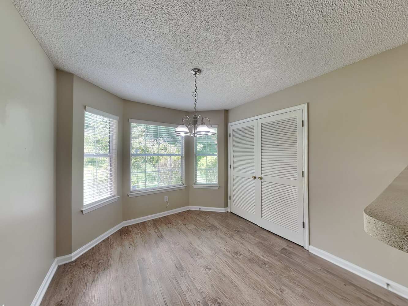 438 Pecan Wood Cir, Fairburn photo 11