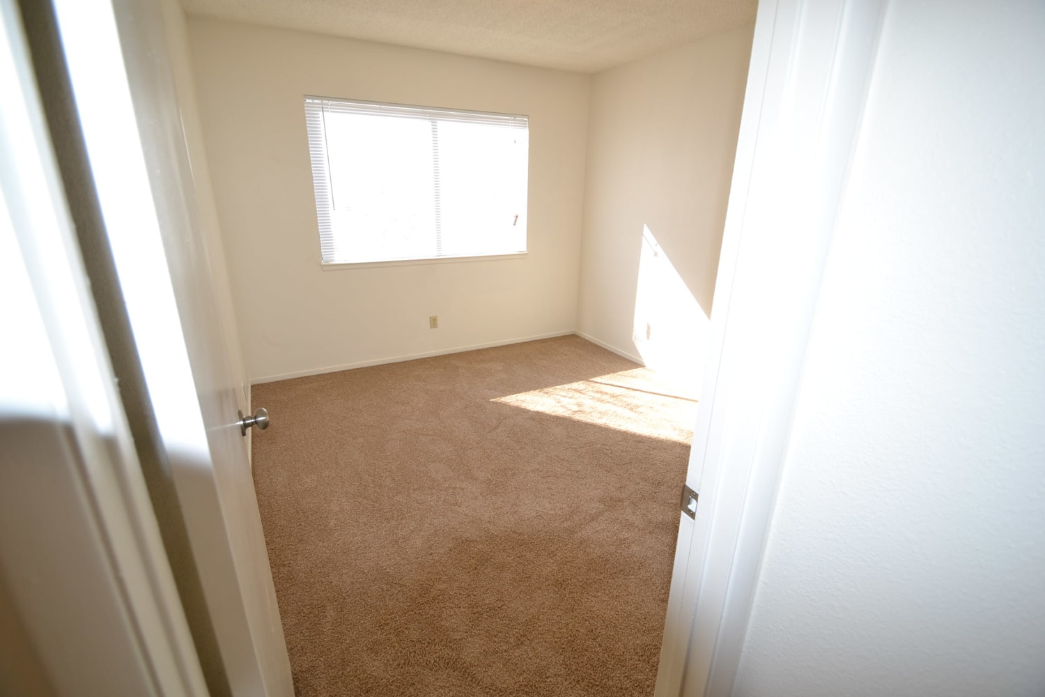 439 Bell Ave, Henderson photo 6