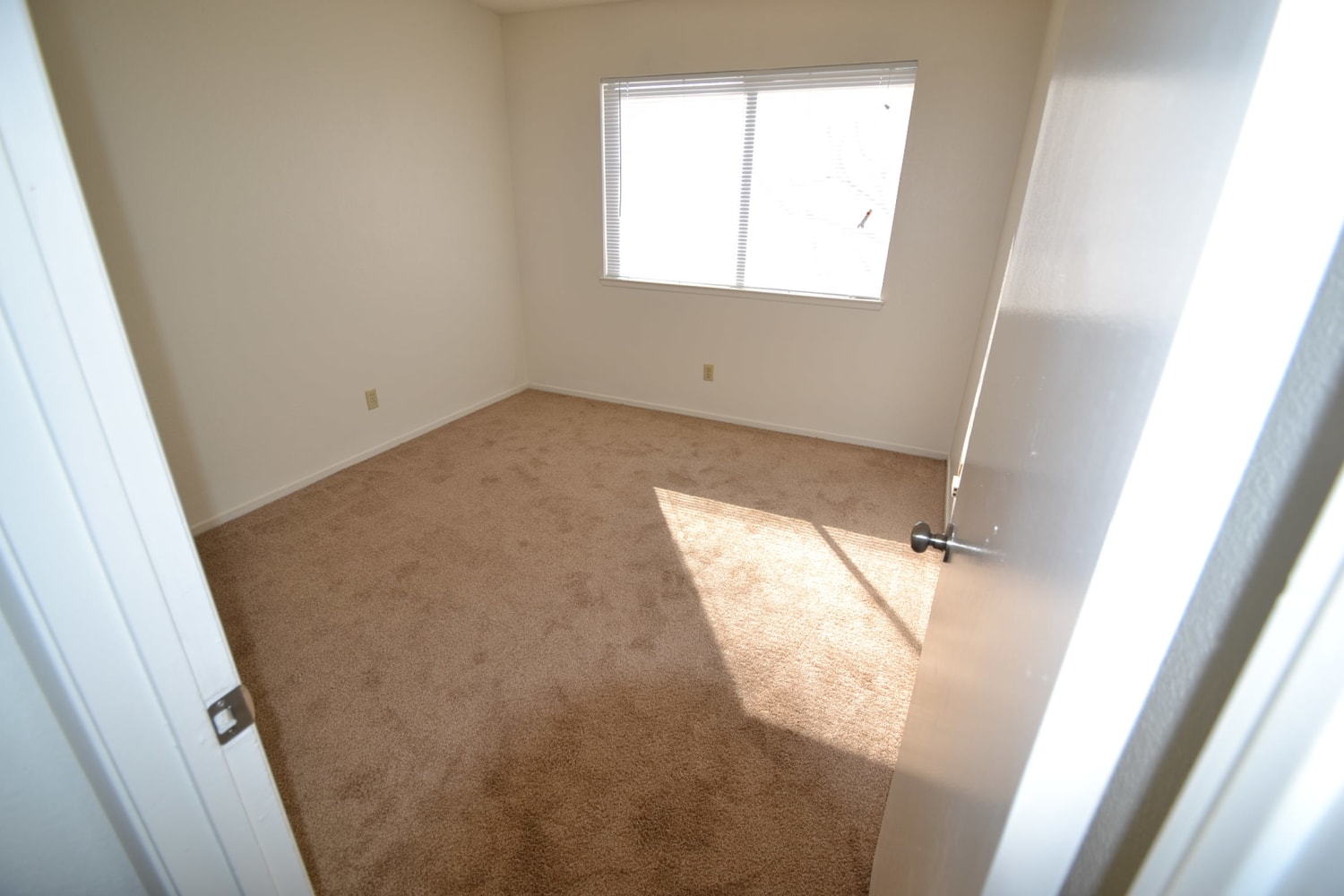 439 Bell Ave, Henderson photo 7