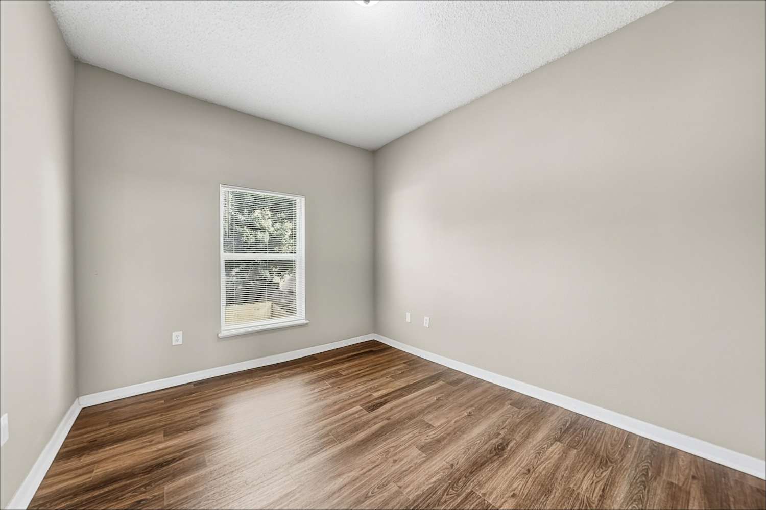 4502 Stable Dr, Valrico photo 19