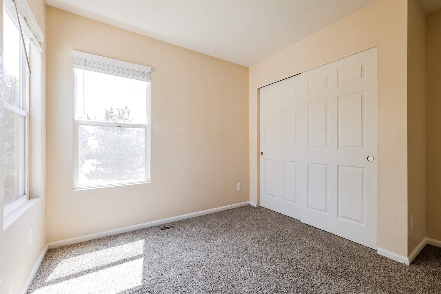 4509 Andes St, Denver photo 14