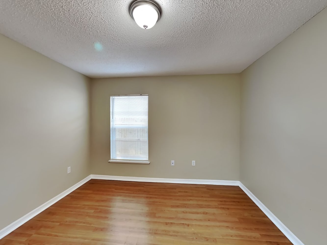4509 Arizona Sun Ct, Valrico photo 13