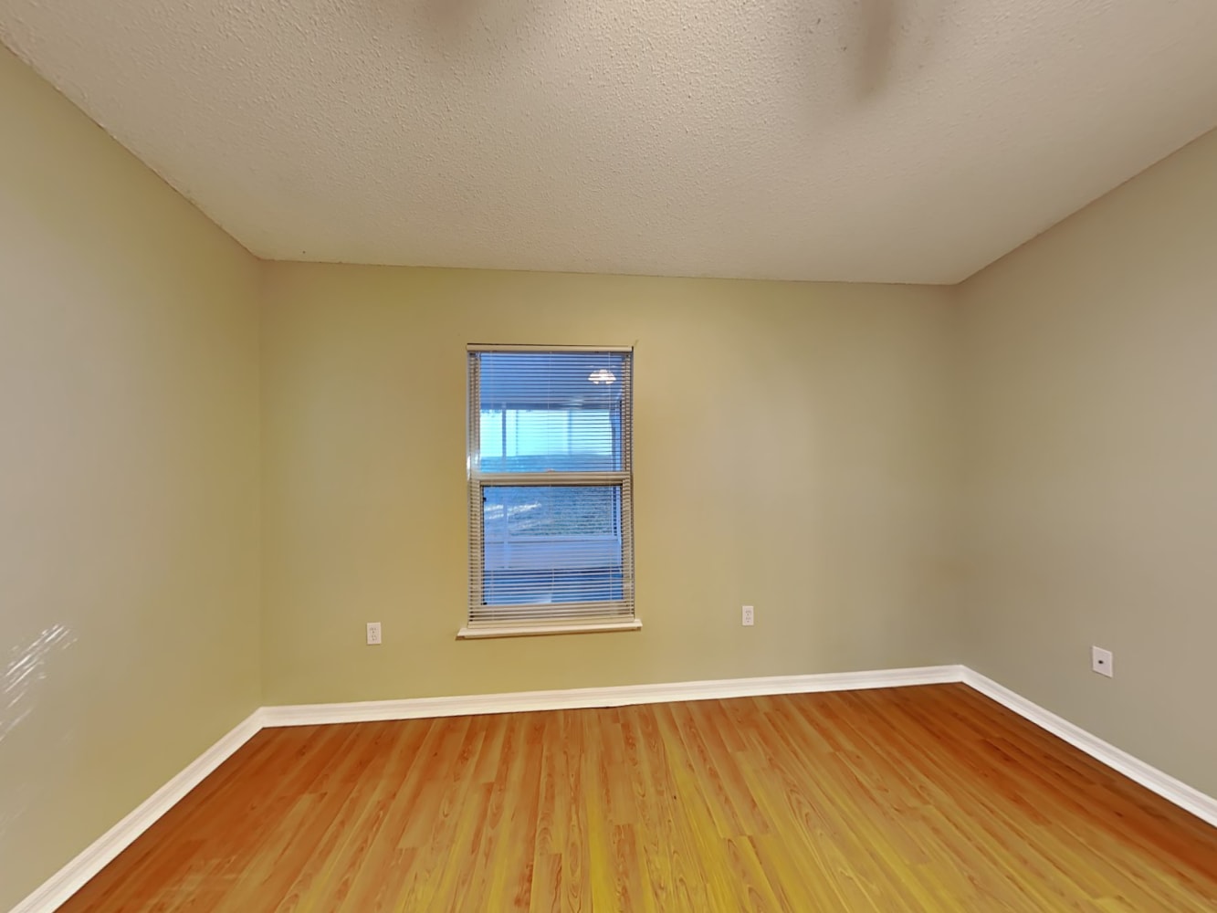 4509 Arizona Sun Ct, Valrico photo 11