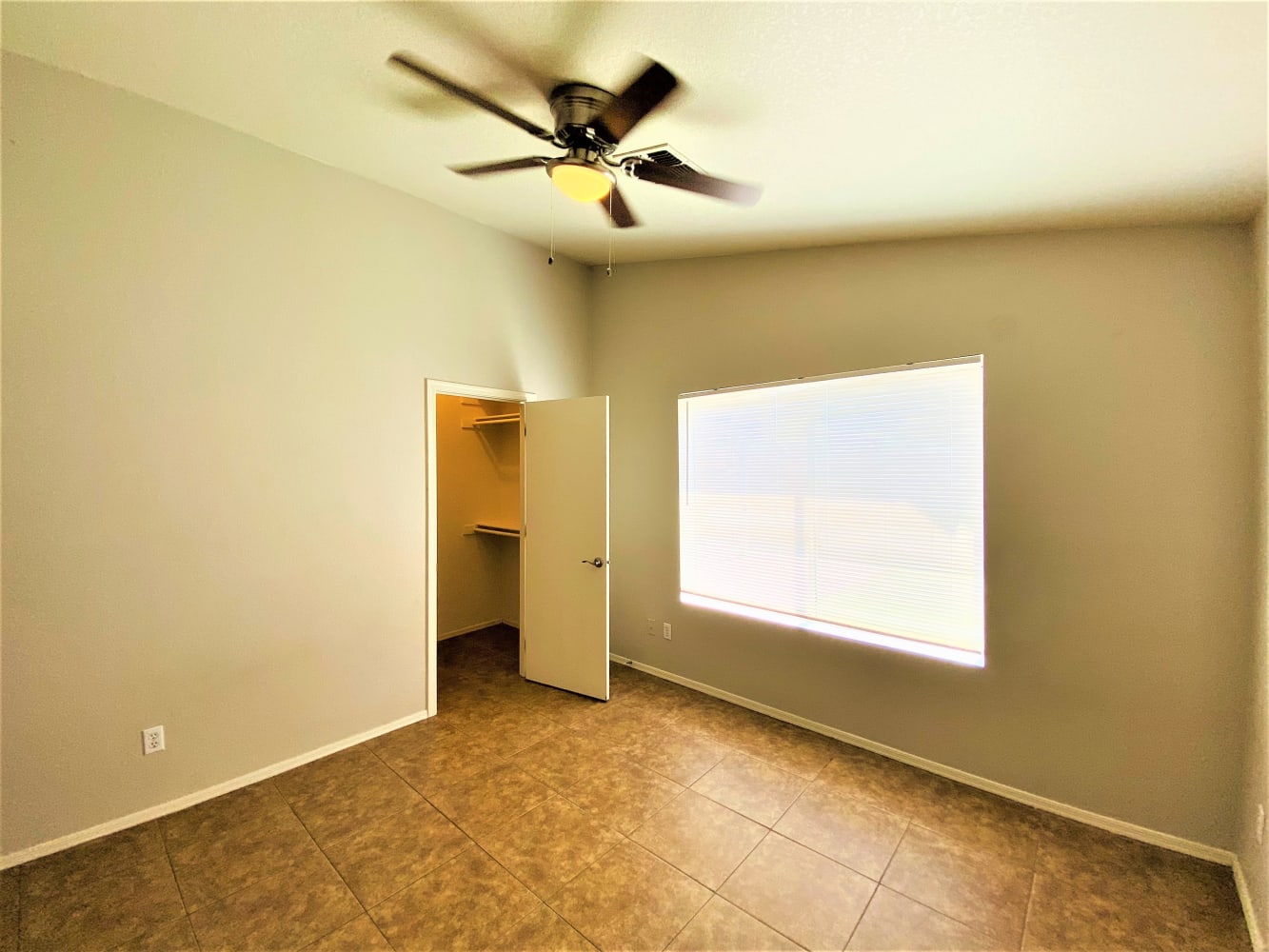4607 W Laredo St, Chandler photo 7